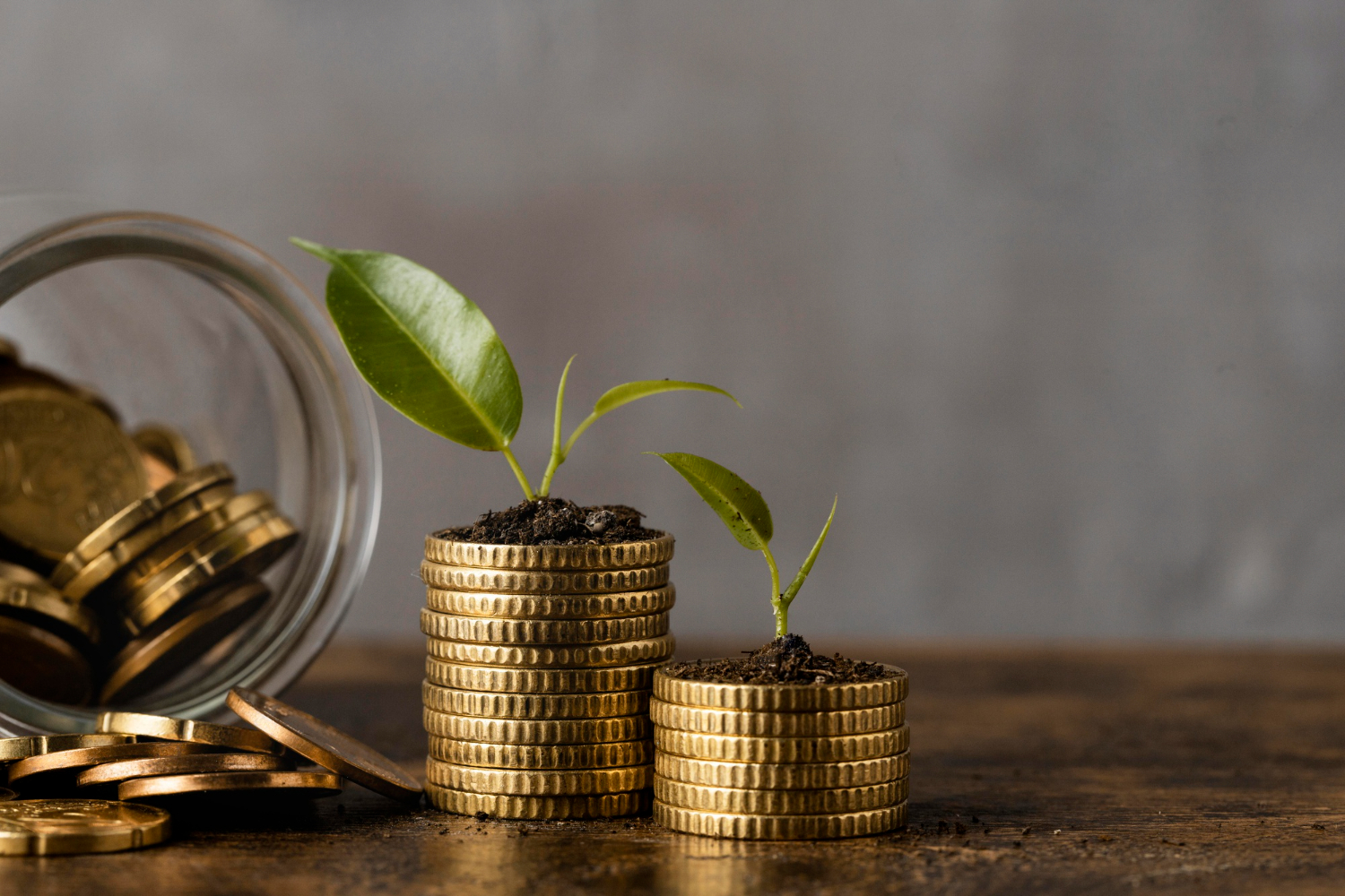 front-view-two-stacks-coins-with-jar-plants